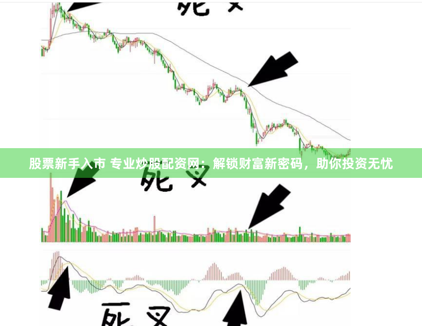 股票新手入市 专业炒股配资网：解锁财富新密码，助你投资无忧